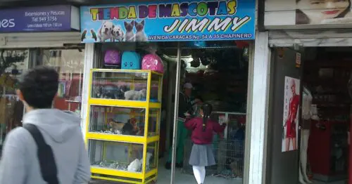TIENDA DE MASCOTAS JIMMY TIENDA DE MASCOTAS JIMMY